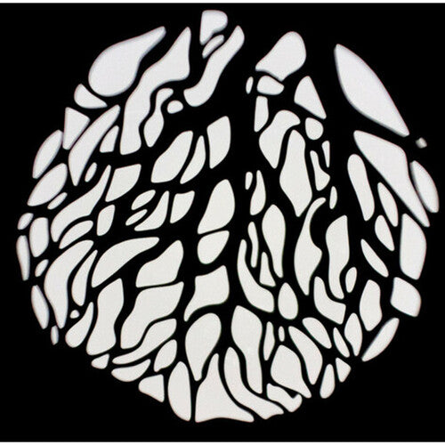 Nanlite PJ-BM-(19/36) Projection Attachment With Lens for Bowens Mount