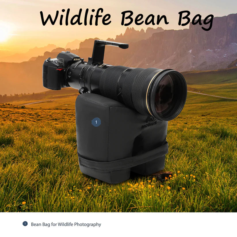 Mobius Triumph Wildlife Bean Bag