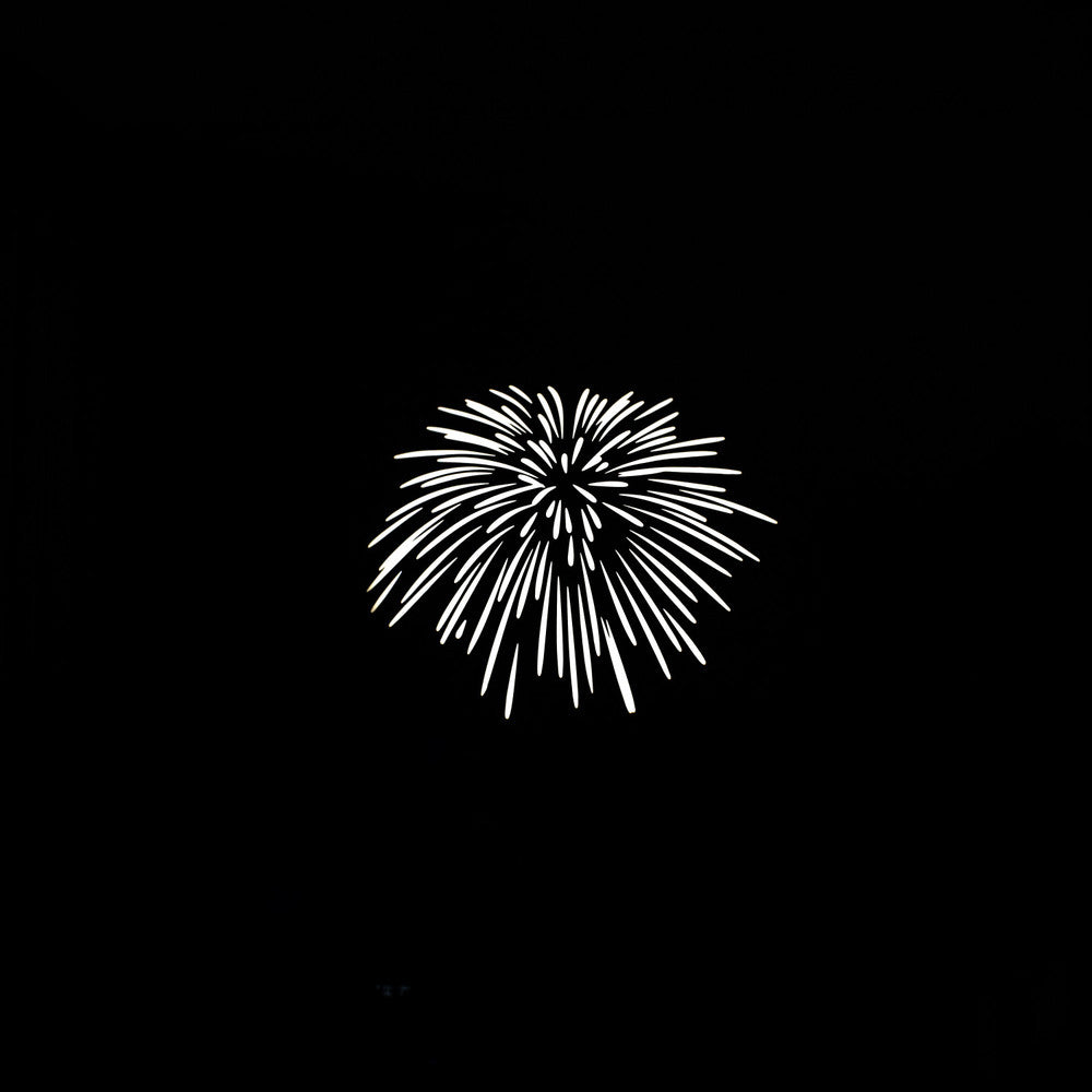 Nanlite Gobo Set 2 for Forza FM Mount Projector (PJFMM-19/36)