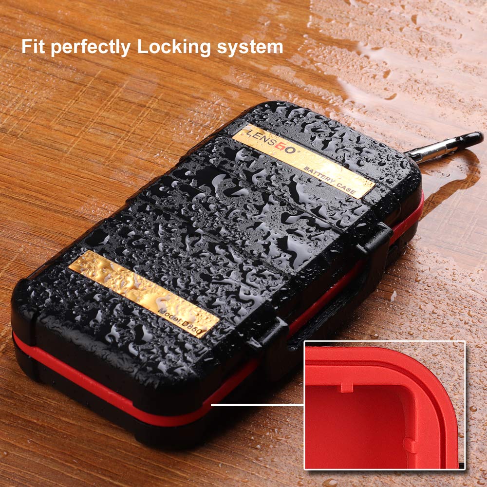 LENSGO D950 Camera Battery And Memory Card Case